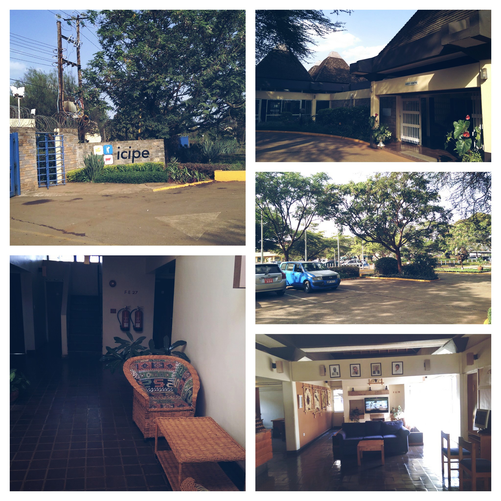 Safe & sound..Nairobi-bound