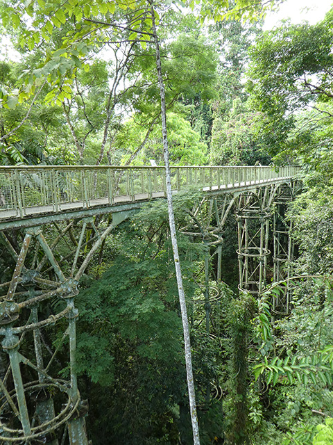 From theory to practice: How food security criteria can be implemented in palm oil production in Sabah, Malaysia
