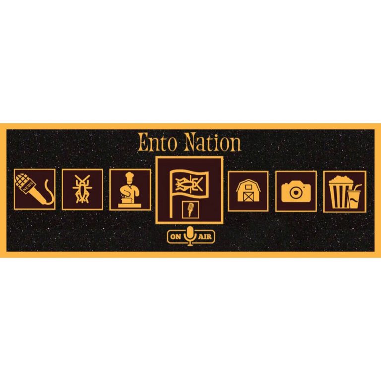 Marwa Shumo featured in EntoNation Magazine