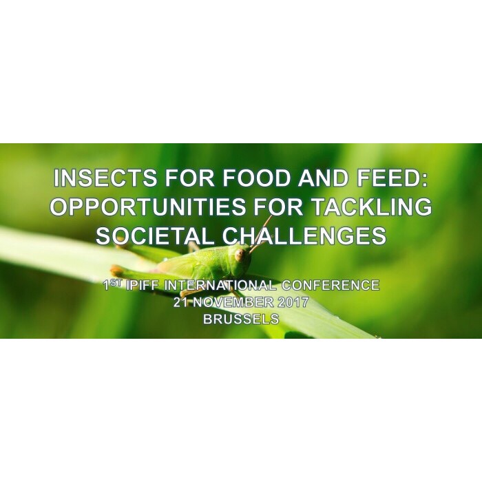 IPIFF International Meeting in Brussels