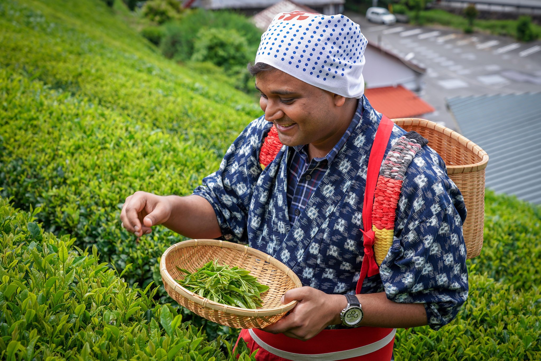 Road tripping in Japan : Impressions from our field work/trip in Yui, Shizuoka