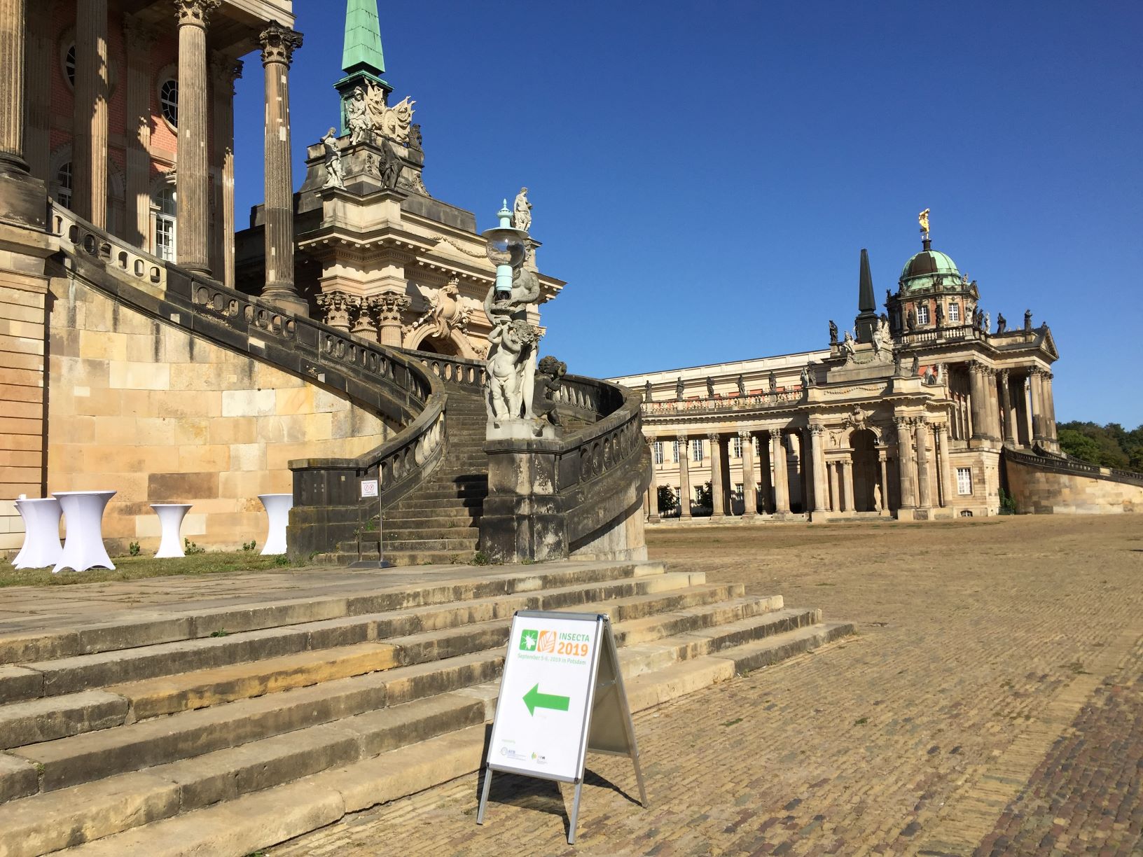 Do grasshoppers only eat grass? INSECTA 2019 gave the answer!