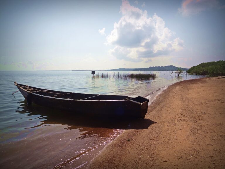 Bridging Science and Society in order to tackle Emerging Infectious Diseases in Uganda