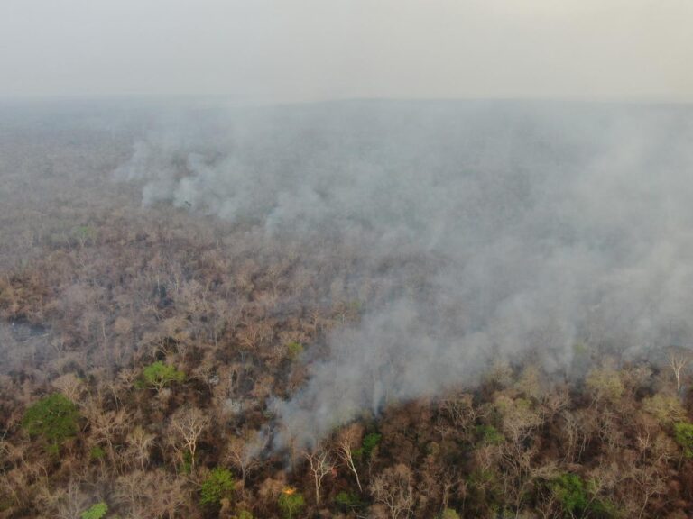 Mother Earth on Fire: Insights from the Bolivian Amazon