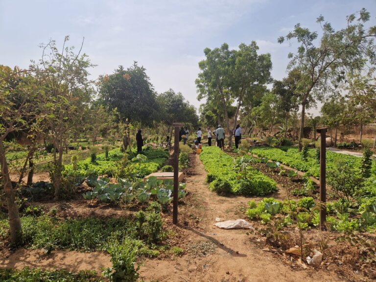 Climate Change, Nutrition and Health: Real-life Solutions through Collaborative Research