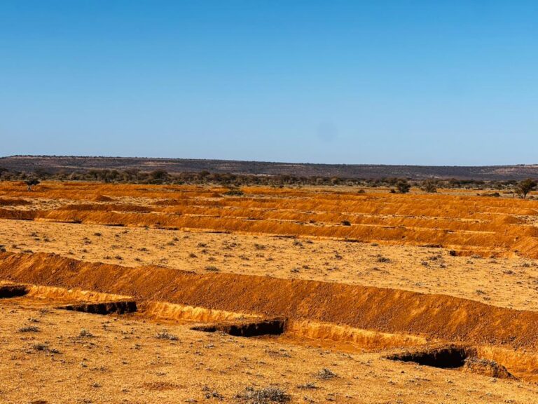 When Nature Protects People: Can community-managed protected areas improve nutrition and health in Somaliland?