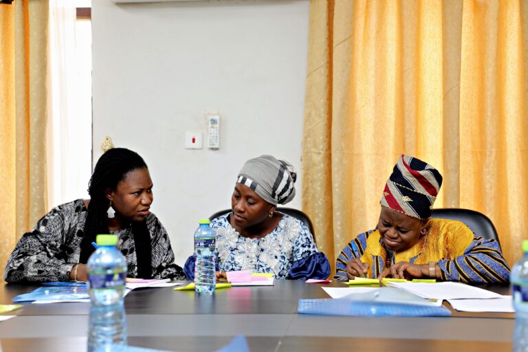 Strengthening Stakeholders’ Capacities and Behavioral Change for Sustainable Land Management: The INTERFACES Approach